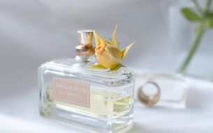 best-smelling-city-perfume-picks-you-should-try