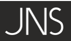 JNS DE